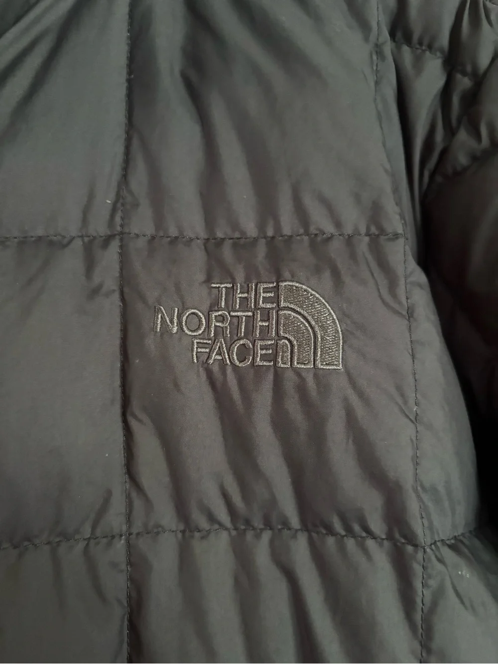 The North Face Men's Black Quilted Puffer Jacket